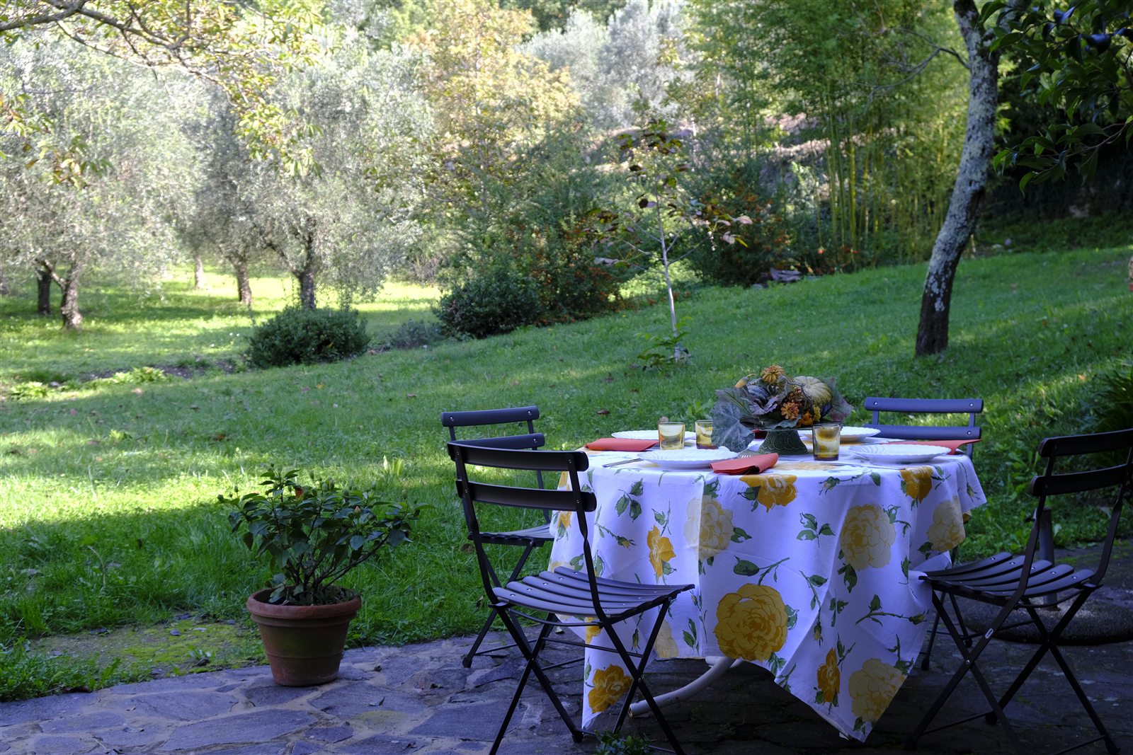 Il giardino della Casa del Picchio