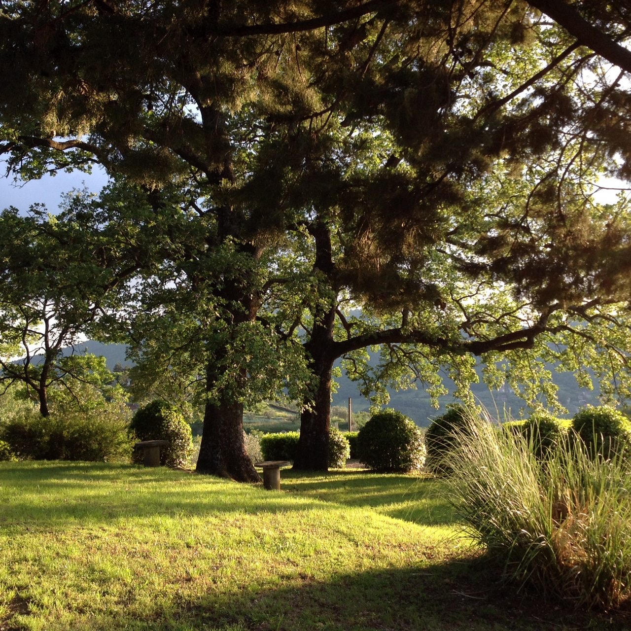 Il giardino della casa