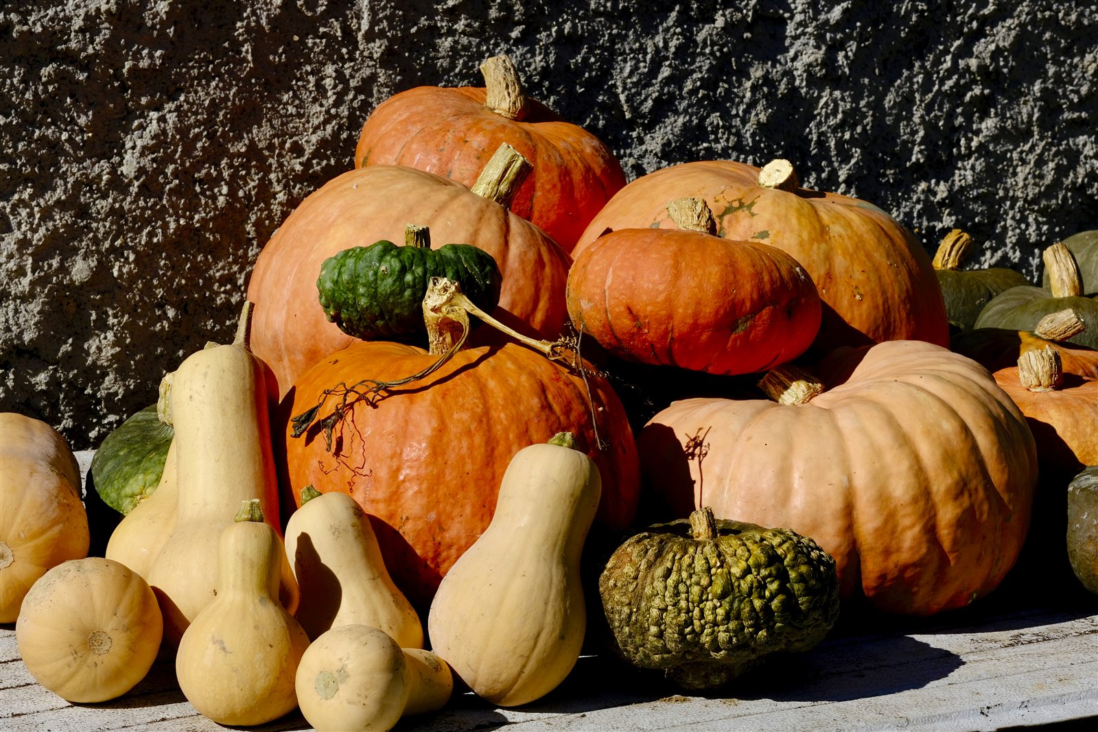 Il raccolto delle zucche